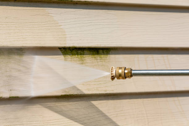 Best Power Washing Near Me  in Geneva, IN