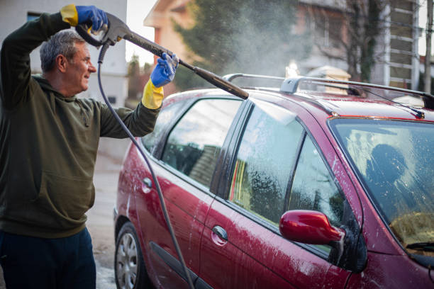 Best Roof Pressure Washing  in Geneva, IN